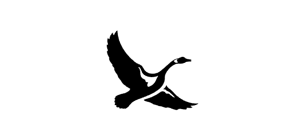 Eddie Bauer logo